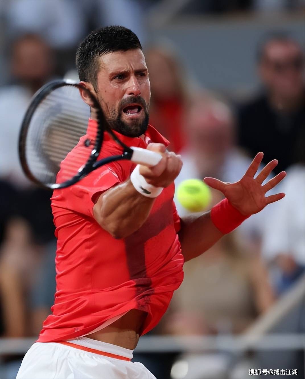 包含德约科维奇连续十二场比赛得分超过逆转，篮网挑战极限！的词条vip 注册地址